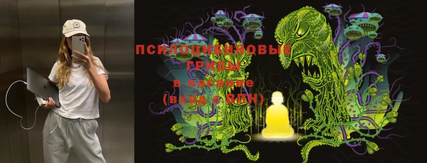 PSILOCYBIN Абинск